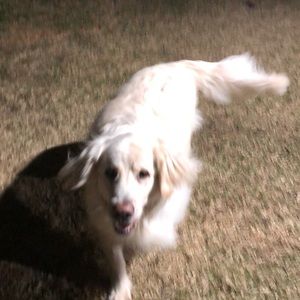 Meet your Posher, Edwin